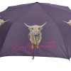 Emily Smith O&C Folding Umbrella - Heidi the Highland Cow