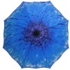 Stormking Auto Open & Close Folding Umbrella - Floral Collection - Blue Daisy