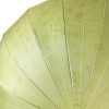 Sakura Illusion 16 rib Umbrella by Soake - Avocado Green