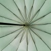 Sakura Illusion 16 rib Umbrella by Soake - Forrest Green