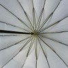 Sakura Illusion 16 rib Umbrella by Soake - Midnight Navy