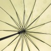 Sakura Illusion 16 rib Umbrella by Soake - Antique Ivory