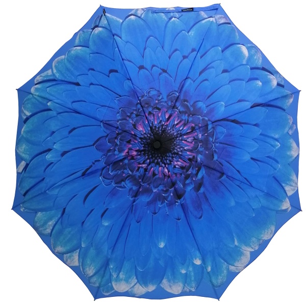 Stormking Auto Open & Close Folding Umbrella - Floral Collection - Blue Daisy