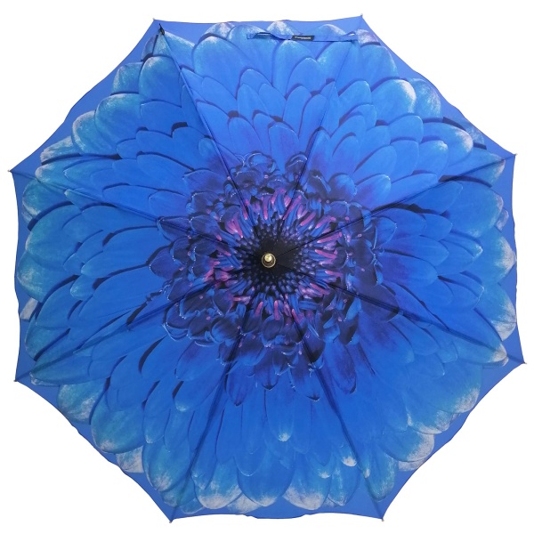 Stormking Classic Walking Length Umbrella - Floral Collection - Blue Daisy